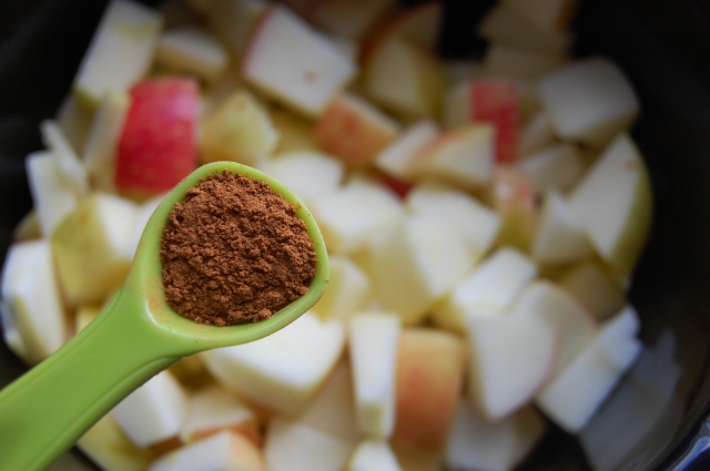 Cinnamon for Crockpot Slow Cooker Applesauce