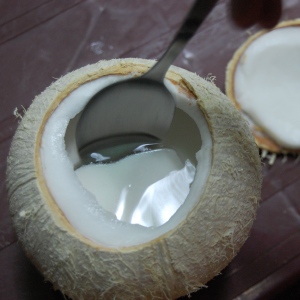 Thach Dùa Quá - Vietnamese Coconut Jelly